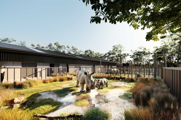 OWP_Rhino_Conservation_Centre_3D_Render_resized_for_web.jpg