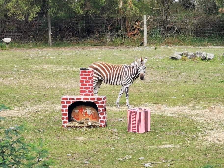 Zebra_and_Chimney.jpg