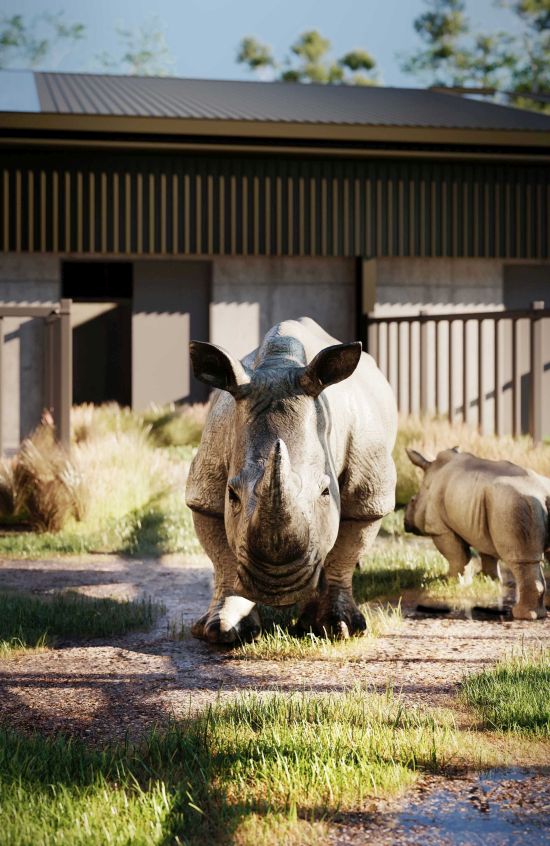 OWP_Rhino_Conservation_Centre_Vignette_Style_web.jpg