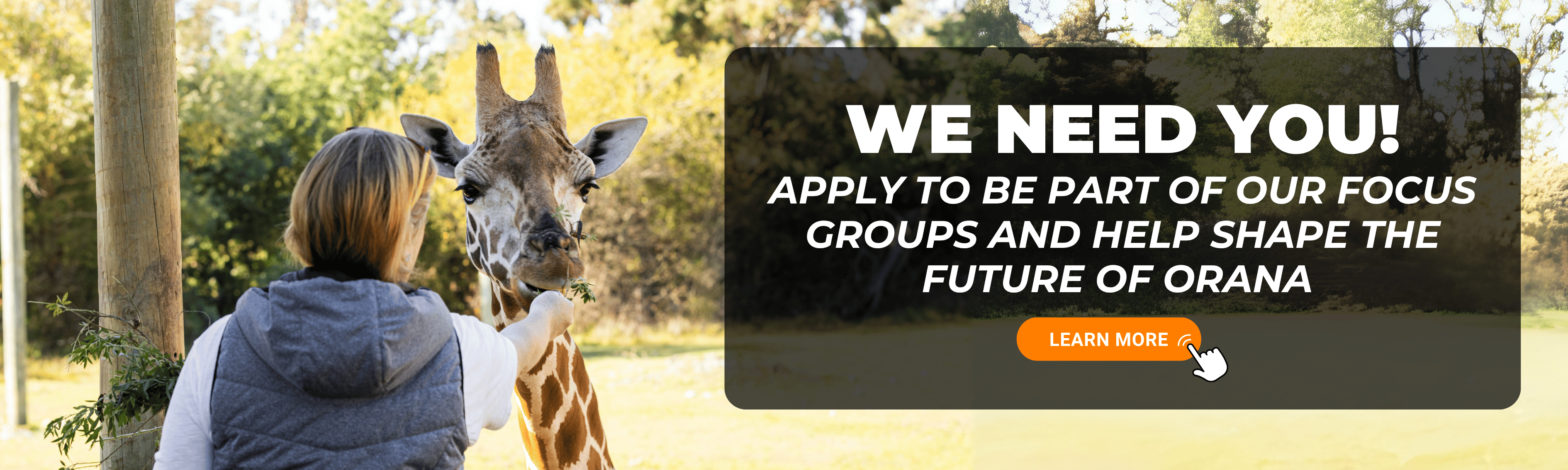 Focus_Group_Home_Page.png